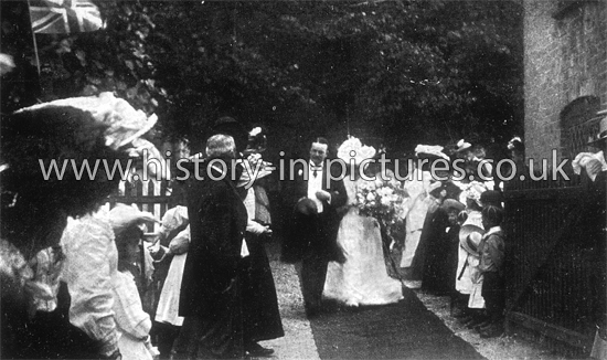 Aug 23 1906, Hatfield Broad Oak, Essex.